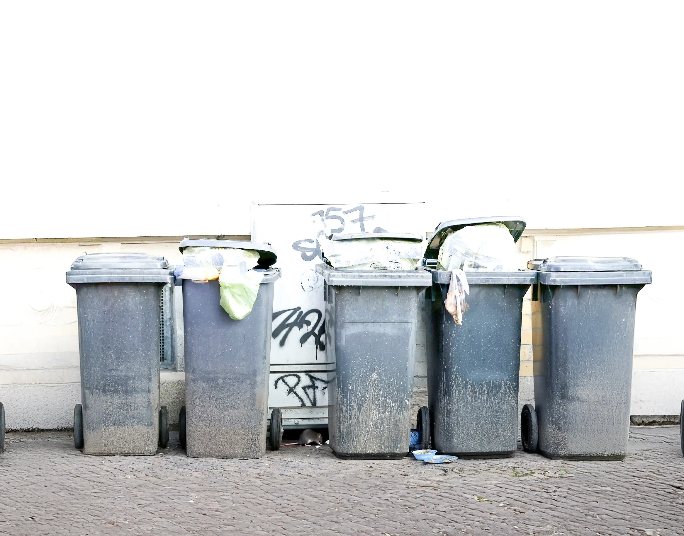 Mülltonnenreinigung für Privathaushalte